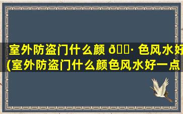 室外防盗门什么颜 🌷 色风水好(室外防盗门什么颜色风水好一点)